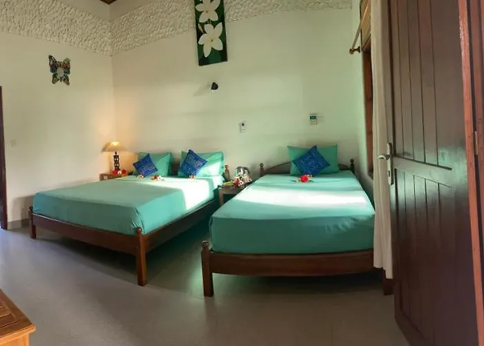 1000 Dream 3* Lovina Beach