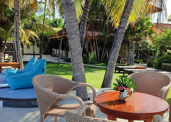 1000 Dream 3* Lovina Beach